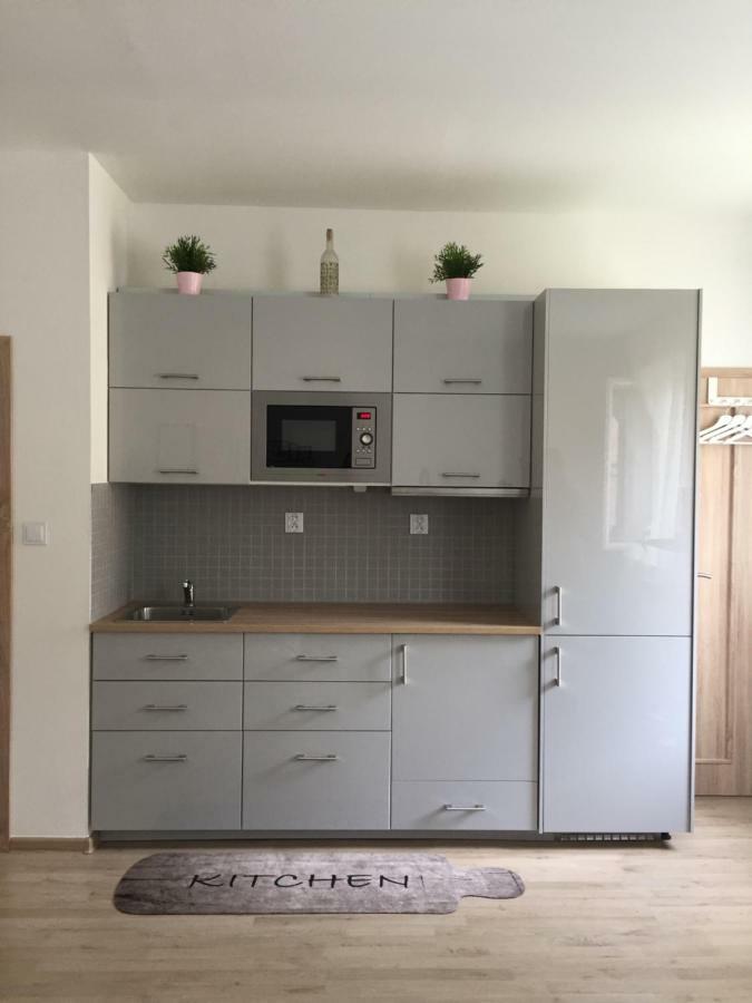 Satys Apartments 俄斯特拉发 外观 照片